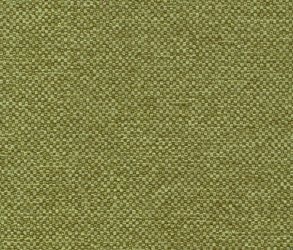 Acapulco 800 muschio