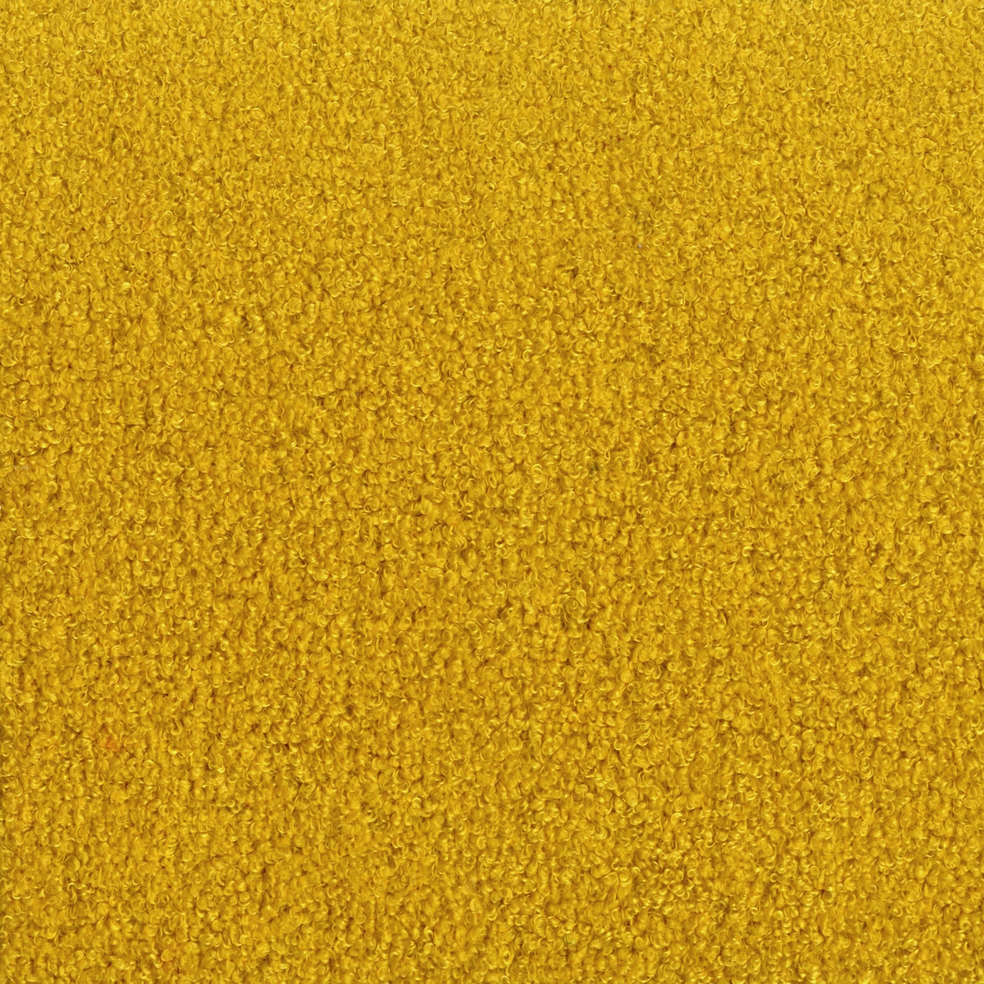 Teddy 8800 Fr 006 Giallo