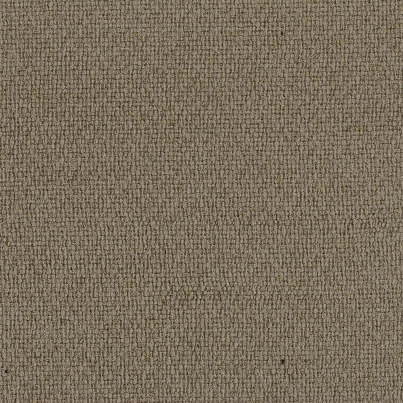 Bentley Fr 409 Nocciola